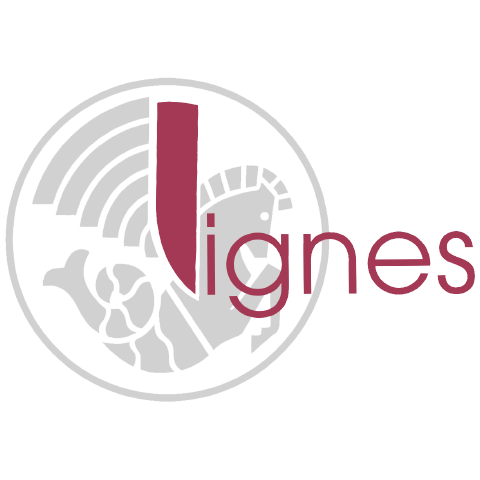 Logo CSE Lignes
